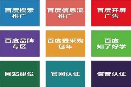 百度SEO推广公司案例剖析：助力企业提升排名